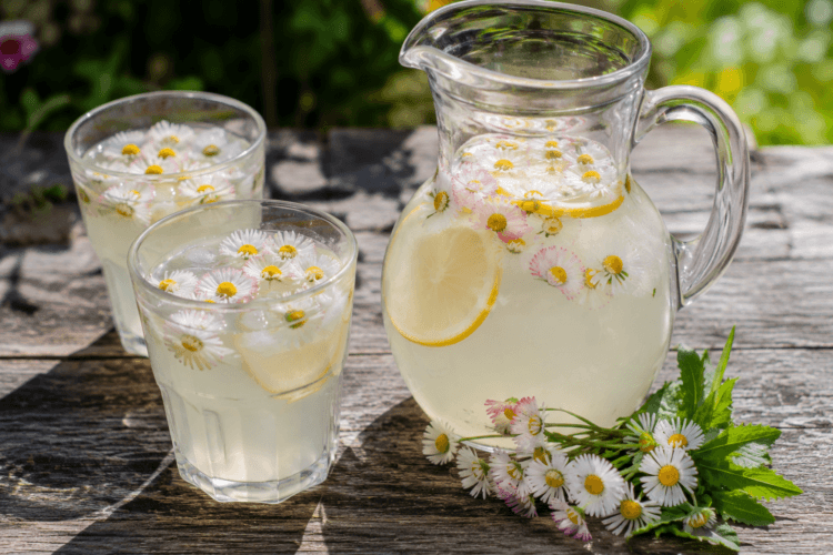 Een kan en 2 glazen vol zelfgemaakte madeliefjeslimonade