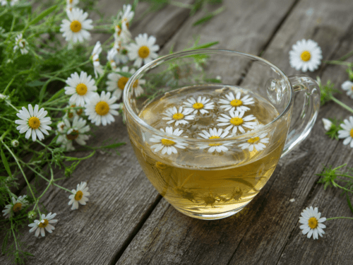 madeliefjes thee