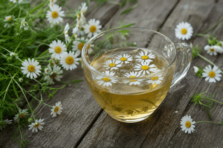 madeliefjes thee