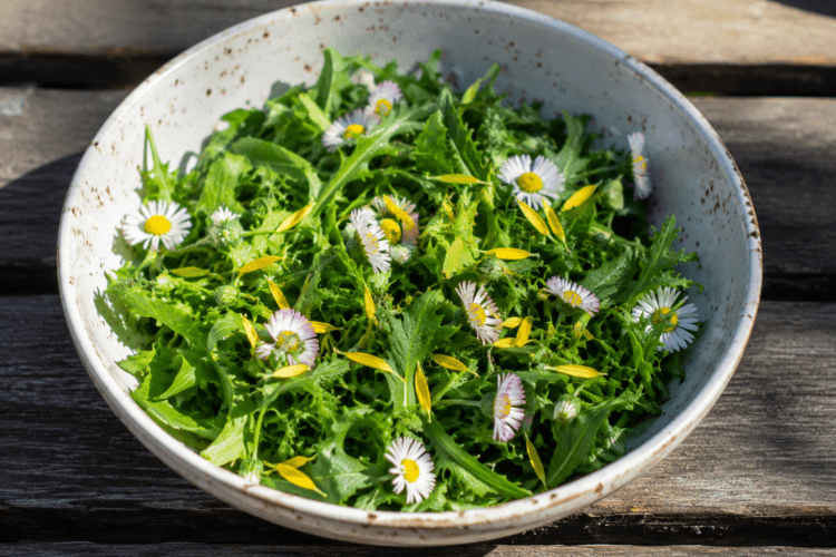 Een fris groene salade met madeliefjes