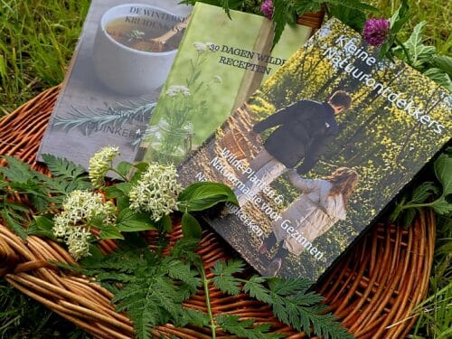 3 eigen gemaakte boeken