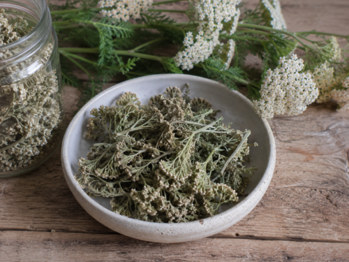 Een schaaltje met gedroogd duizendblad