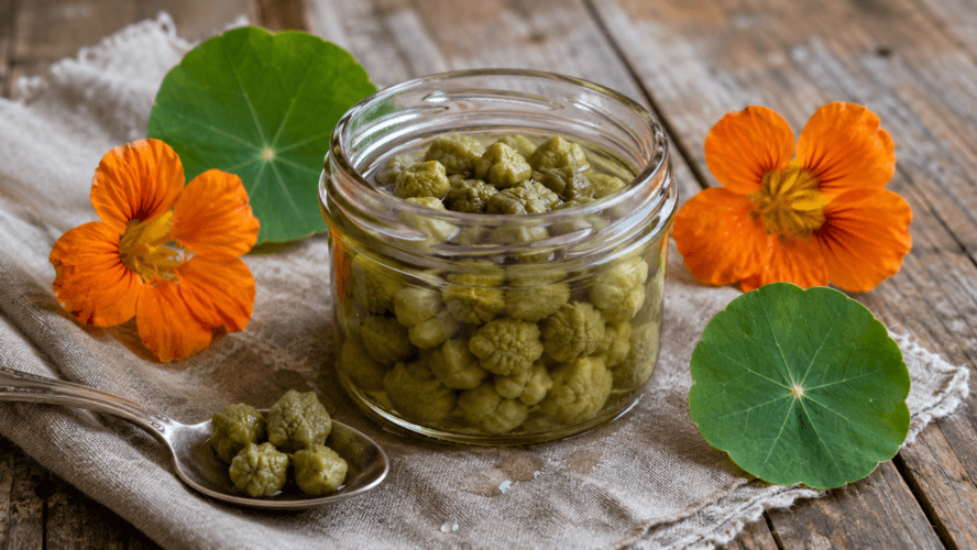 Zelfgemaakte kappertjes van groene zaden van Oost-Indische kers in een glazen pot met bloemen en ronde bladeren op een rustieke houten tafel