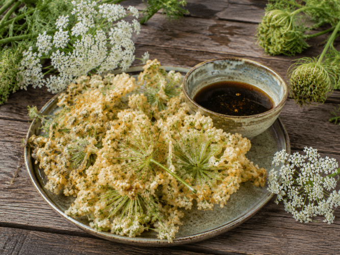 Wilde peen tempura met jonge bloemschermen